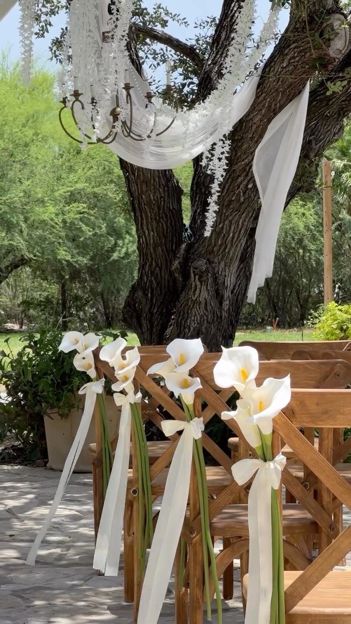 White calla lilies with long ribbons tied to wooden chairs in an outdoor setting.