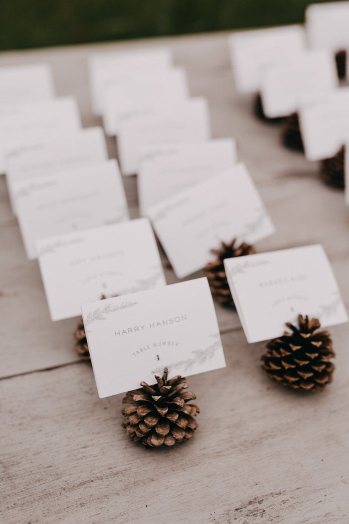 Pinecones holding white place cards arranged in rows on a wooden table surface.