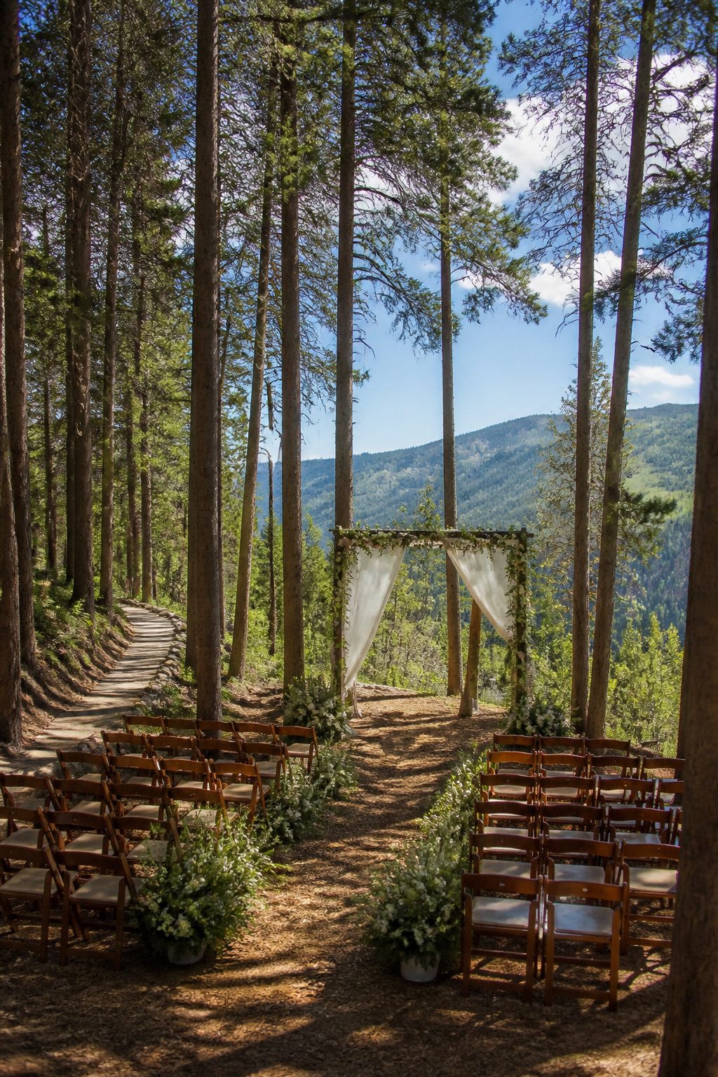 Wedding ceremony site framed by lodgepole pine trees in Vail.