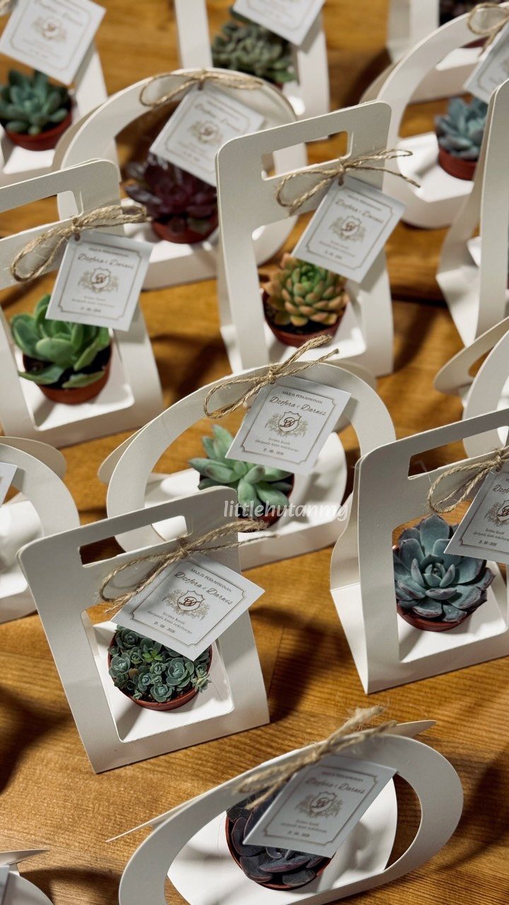 Small succulent plants in white cardboard gift carriers with twine-attached tags on a brown surface.