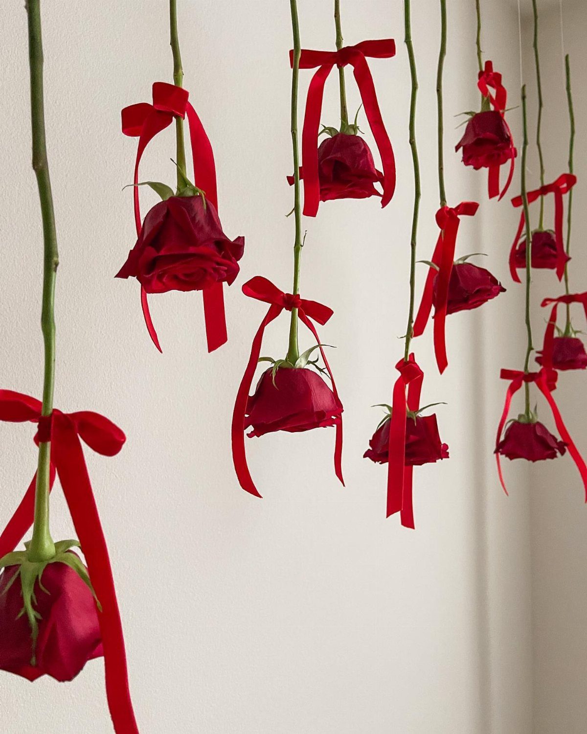 Wedding Decor with Red Roses: 9 Concepts from Pew Markers to Car Details 7 Red roses with long green stems and red ribbons hanging vertically against a white wall.