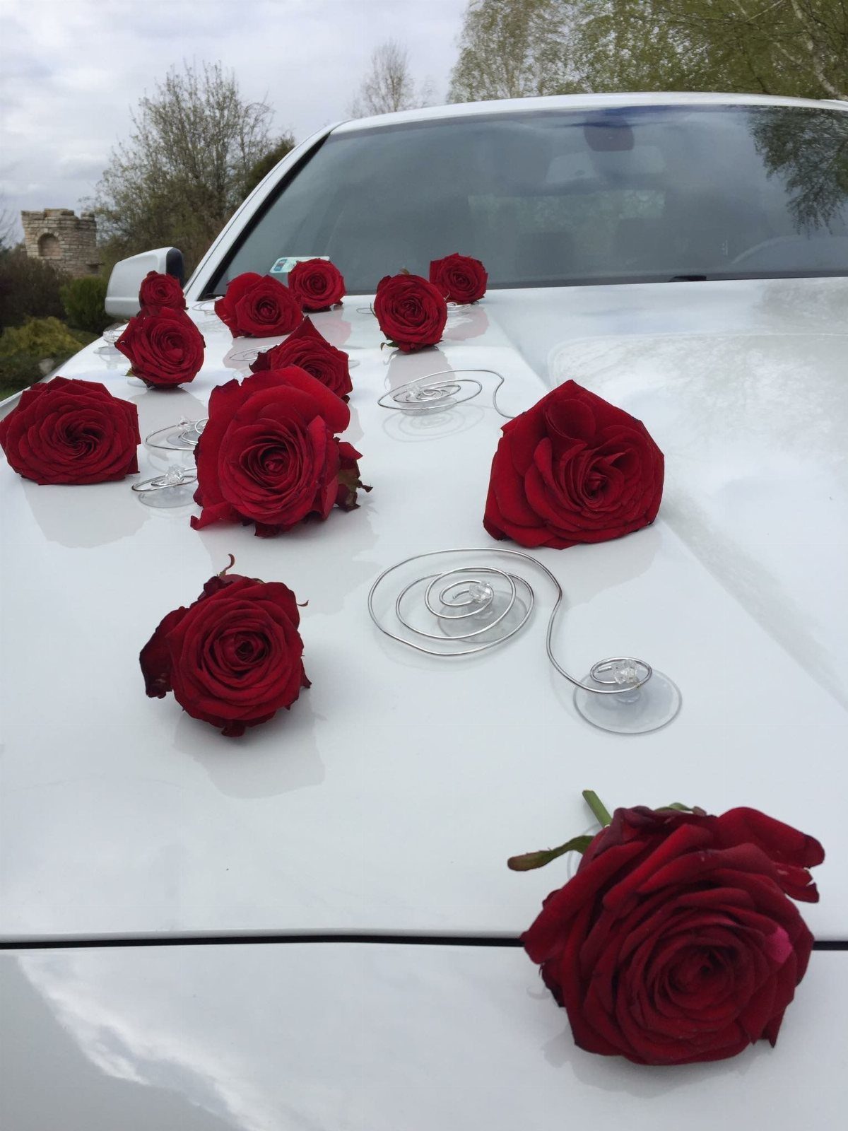 Wedding Decor with Red Roses: 9 Concepts from Pew Markers to Car Details 9 Red rose heads scattered on a white car hood with clear spiral wire decorations.