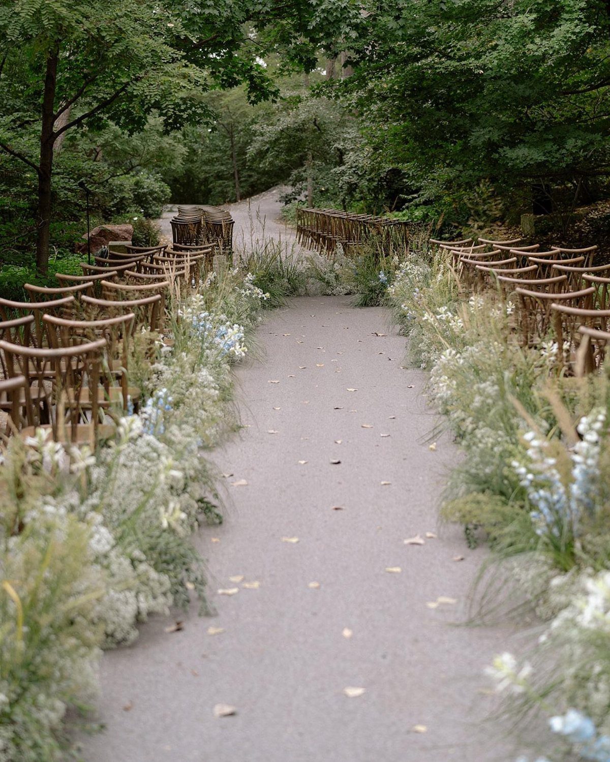 White and blue wildflowers line a paved outdoor wedding aisle between rows of wooden chairs.