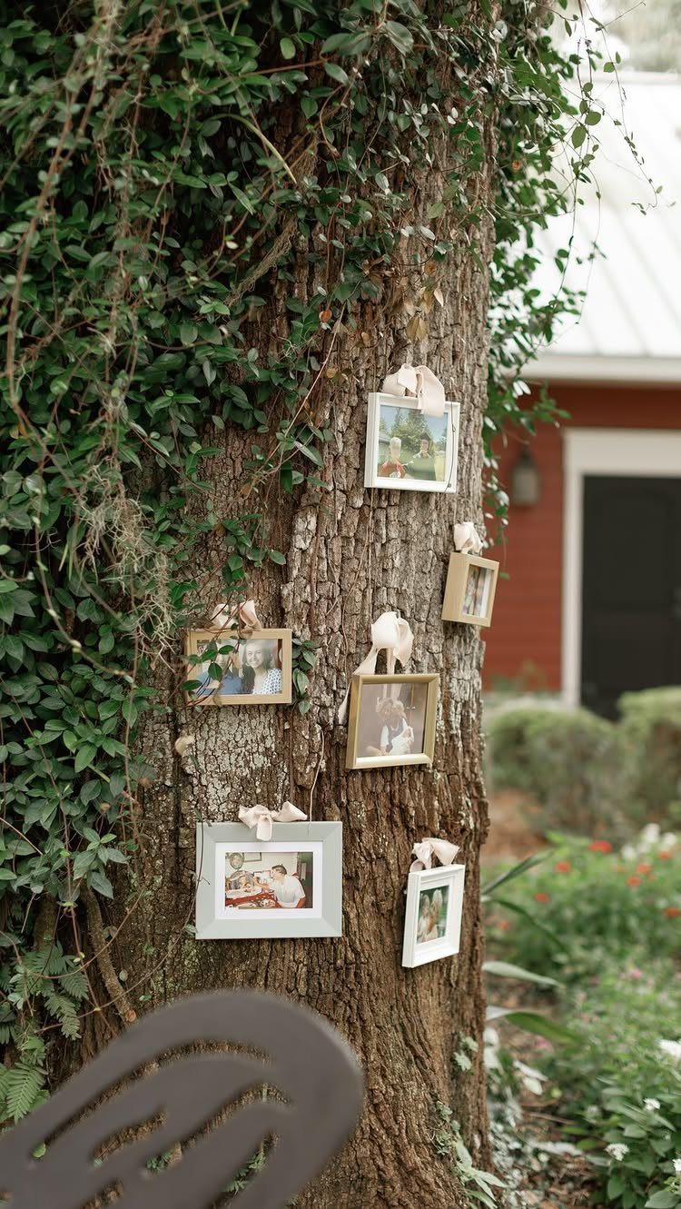 Framed photographs hanging from a tree trunk with ribbons in an outdoor garden setting.